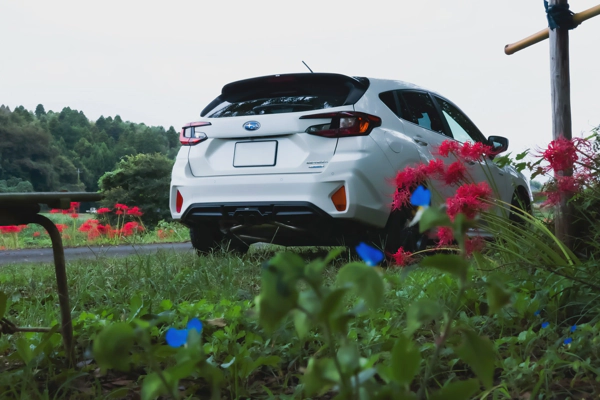 <i>Oct. 06, 2024<br>Narita Chery Wood/成田さくらの里<br>Canon EOS R10</i>