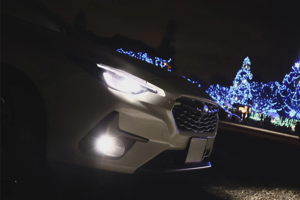 <i>Nov. 09, 2024<br>Kawachi Water and Green Fureai Park/水と緑のふれあい公園<br>Canon EOS R10</i>