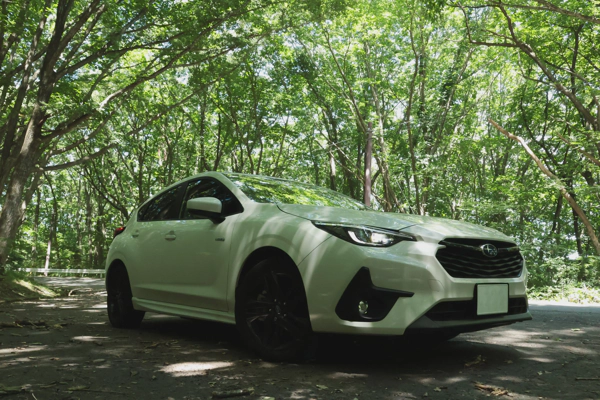 <i>Jul. 26, 2025<br>Shirakawa Hatori Line/白川羽鳥線<br>Canon EOS R10</i>