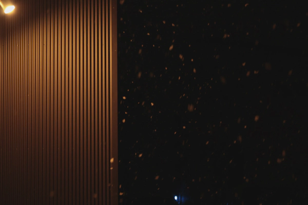 <i> Jan. 02, 2026<br> My Place/家<br><br> Canon EOS R10<br> SIGMA CONTEMPORARY 18-50mm F2.8 DC DN<br> </i>