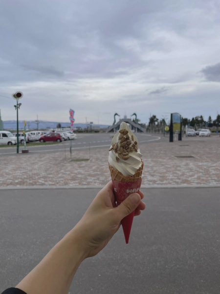 <i>Apr. 25, 2024<br>Hokuryu/サンフラワー北竜<br>Stamps: 1<br>Soft Serve: 1</i>