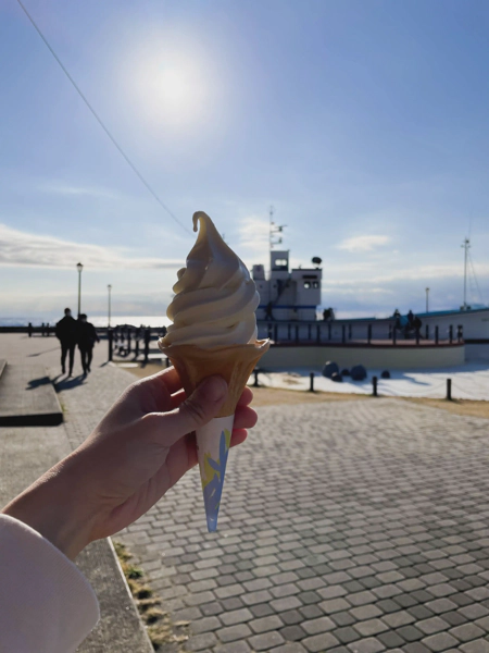 <i>Jan. 1, 2023<br>Kurimoto/くりもと紅小町の郷<br>Stamps: 2<br>Soft Serve: 1</i>