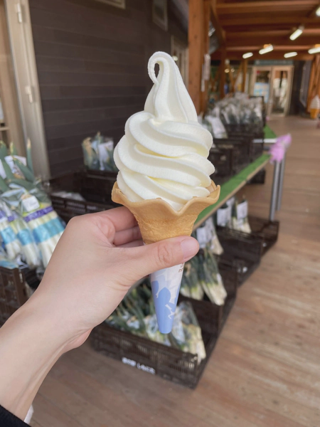 <i>Mar. 5, 2022<br>Shimonita/しもにた<br>Stamps: 1<br>Soft Serve: 1</i>