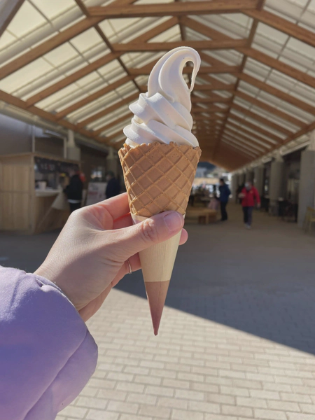 <i>Feb. 2, 2021<br>Kasama/かさま<br>Stamps: 1<br>Soft Serve: 1</i>