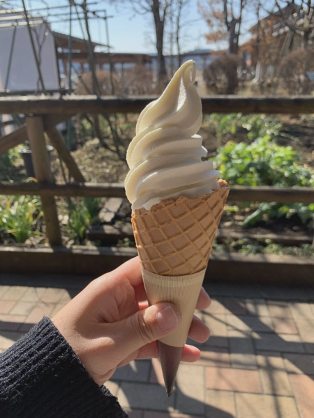 <i>Feb. 20, 2021<br>Yaita/やいた<br>Stamps: 1<br>Soft Serve: 1</i>