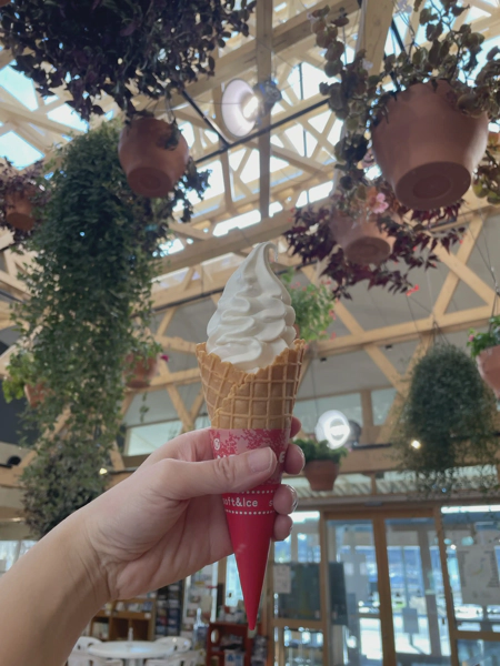 <i>Jan. 10, 2026<br>Iitate/いいたて村の道の駅までい館<br>Stamps: 4<br>Soft Serve: 1</i>